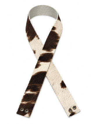 Cow Print Band 1"