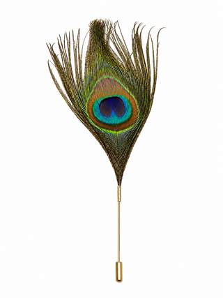 Peacock Feather Pin